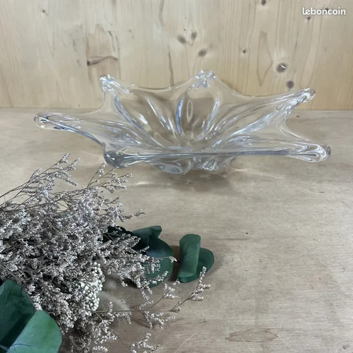 Coupe fruit france en - coupe, a