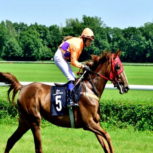 Methode turf les - turf, :