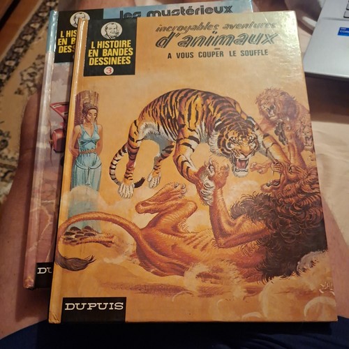 Histoire bandes dessinees - l'histoire,
