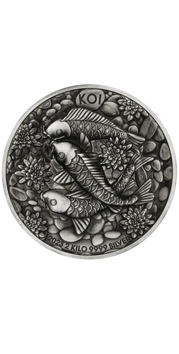 2023 koi fish - 2, kilo