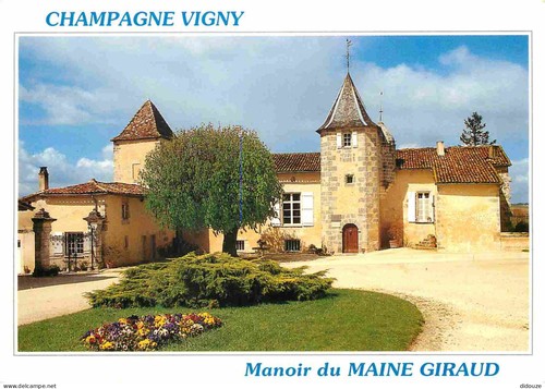 Carte postale champagne - postale, 16