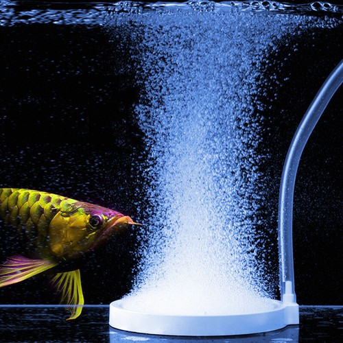 Aquarium nano air pierre - aquarium,