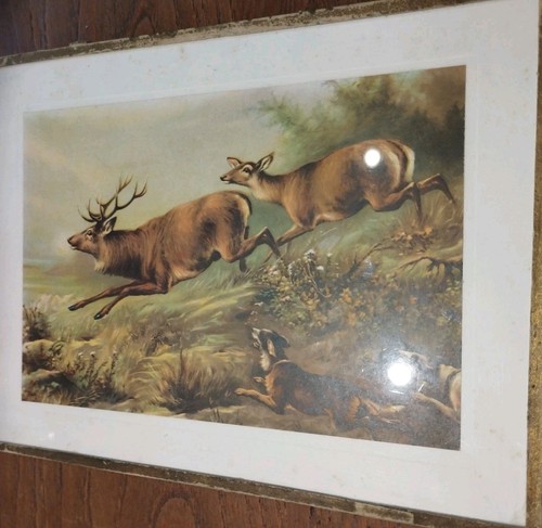 Ancien cadre chromo chasse - chromo,