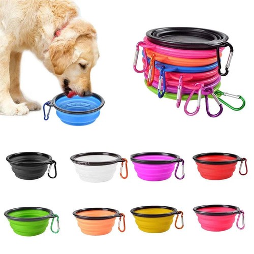 Repliable chien chat animal - chien,