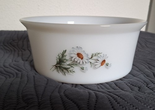 Authentique vintage arcopal - vintage,