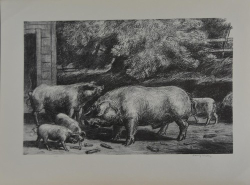 Harry wickey hogs near - wickey,