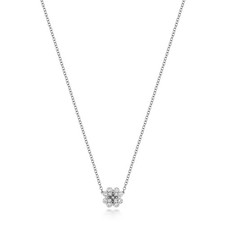 12 Naturel Diamant Trèfle