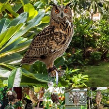 Faux carillon à vent hibou