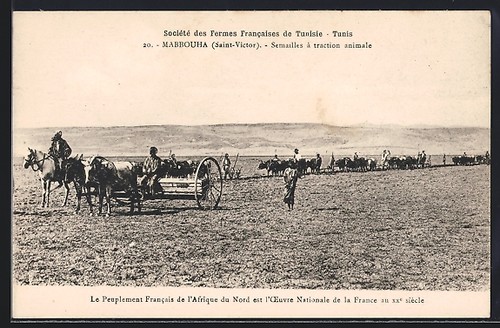 Cpa mabbouha semailles à - mabbouha,,