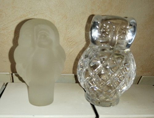 Vit chouette hibou en - chouette,