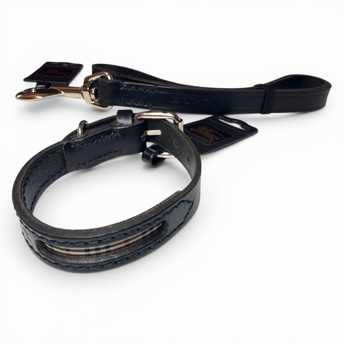 Ensemble collier laisse - ensemble,