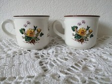 RARE Villeroy & Boch