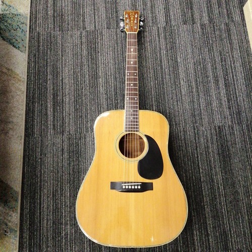 Guitare acoustique morris - guitare,