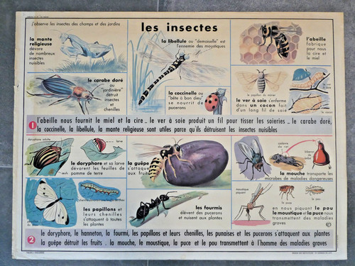 Affiche scolaire mdi - mdi, 39