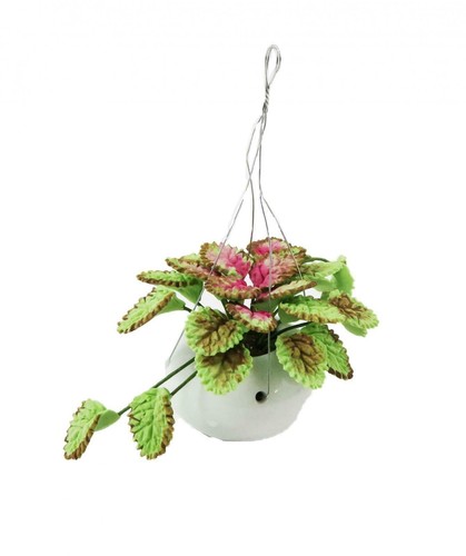 Maison poupées caladium - de,