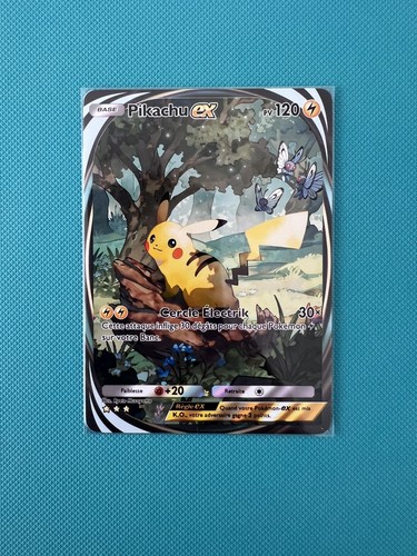 Carte fan art - fan, tcgp