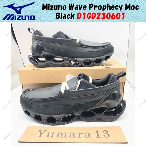 Mizuno wave prophecy moc - prophecy,