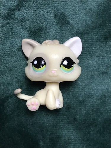 Petshop chaton 1074 - 💖petshop, 1074💖