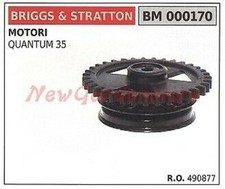 Poulie Moteur B&S Tondeuse À Gazon Raseuse Quantum 35 000170