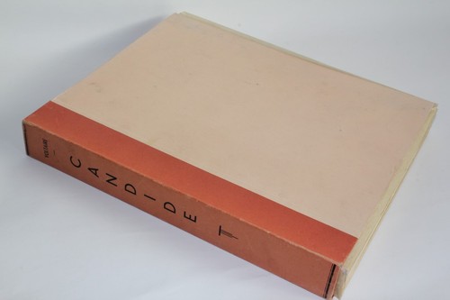 Livre candide voltaire - candide,