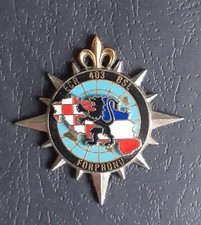 INSIGNE OPEX . ECR 403° BSL FORPRONU - DELSART