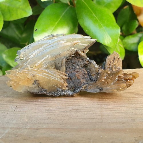 Baryte barytine bleue nador - -,