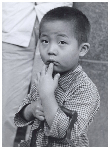 Ergy landau chine - landau,, vintage