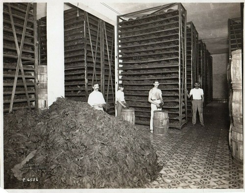 Photo fabrique des cigares - des, de