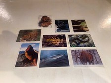Image autocollant sticker - image,