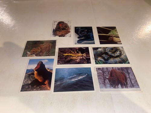 Image autocollant sticker - image,