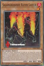 ♦Yu-Gi-Oh!♦ Salamangrande Raton Laveur (Raccoon) : SDSB-FR001 -VF/Commune-