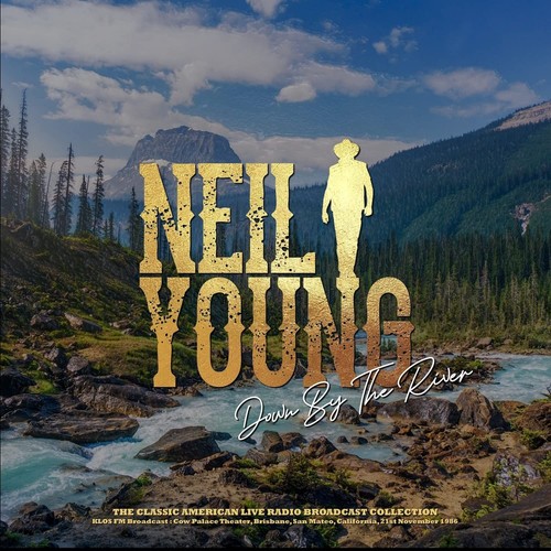 Vinile neil young - vinile,