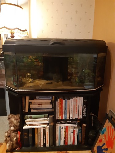 Aquarium avec meuble euros - avec,