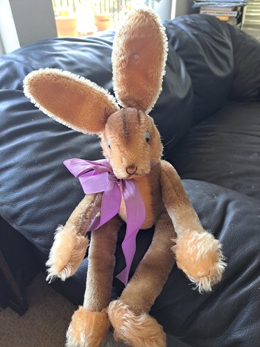 Large 1940 steiff teddy - large, 1940's