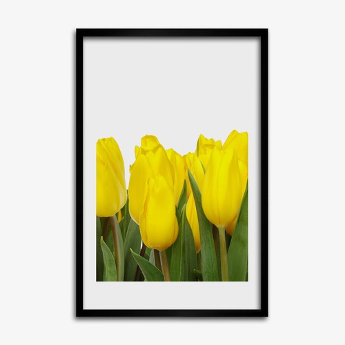 Tulup photo cadre 40x60cm - cadre,