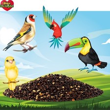 Millet pour Oiseaux Rouge pour