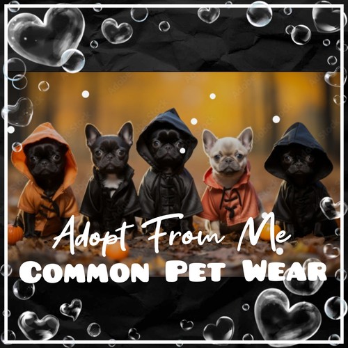 Adopt today - (all,