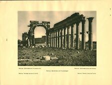 Document ancien Palmyre