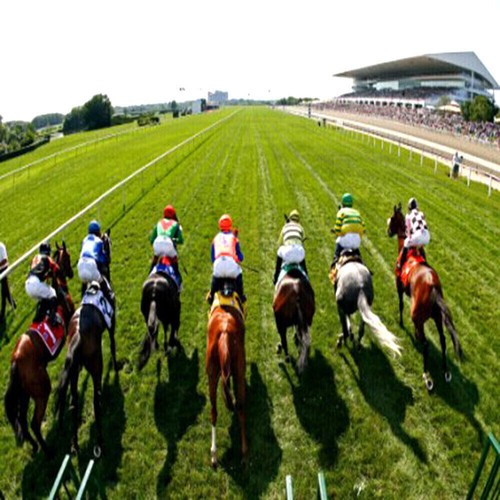 Methode turf star - de,