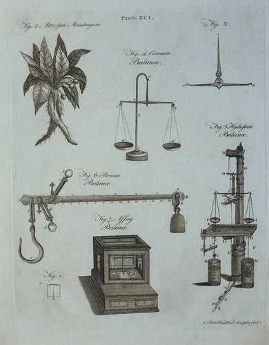 1797 original imprimé - 1797, atropa