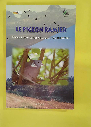 Pigeon ramier columba - pigeon,