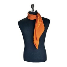 Louis Vuitton Écharpe