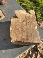 Bois Racine Chêne Tournage