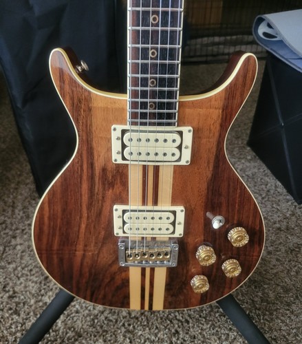 Washburn falcon wing series - falcon,