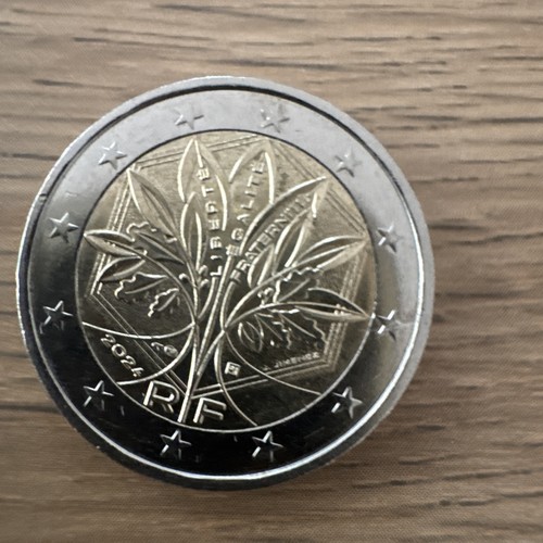 Superbe piece euros 2024 - piece,