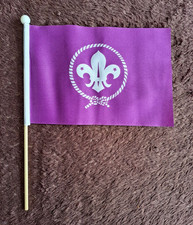 Drapeau Scout Purple Hand - 9"