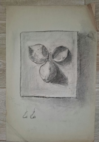 Etude volute fusain fin - etude, au
