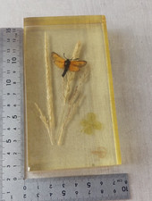 Ancien presse papier en