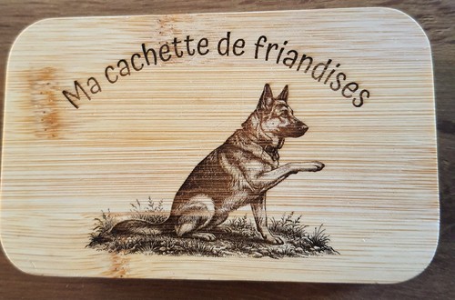 Boite friandise pour chien - pour,