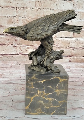 Signée américain chauve - signée,